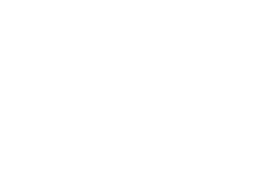 Reiko Trans
